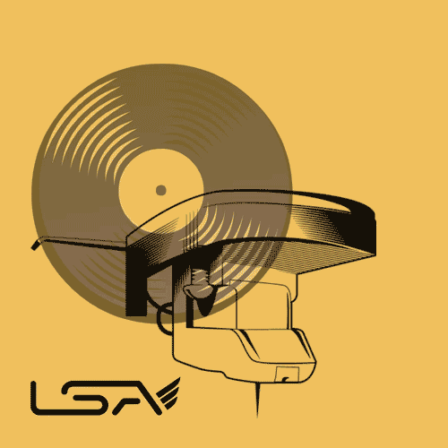 How Does Vinyl Work?