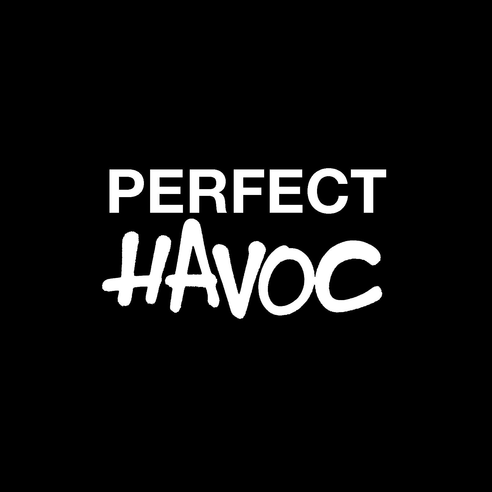 LSA partners with Perfect Havoc Records!