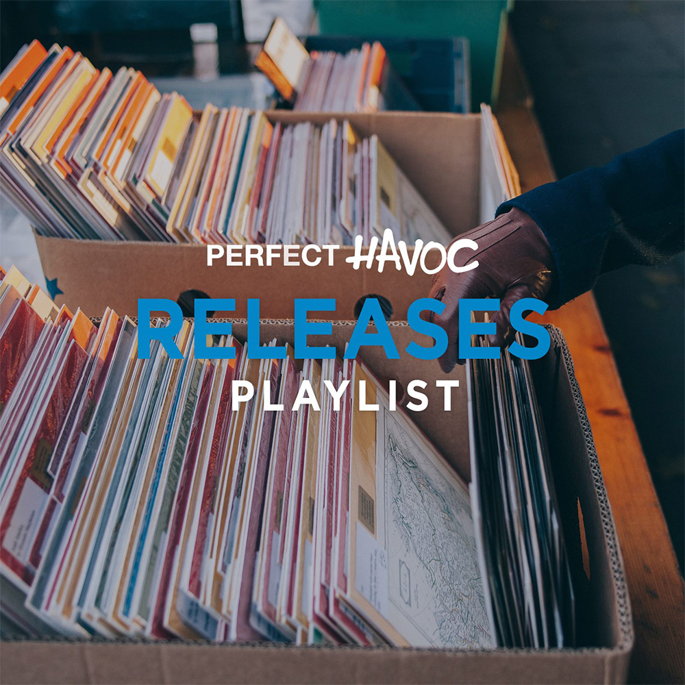 LSA partners with Perfect Havoc Records!